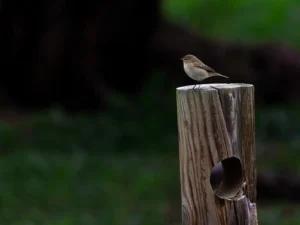 [256] Oteando el horizonte Juan Francisco Caminero Calles compressed