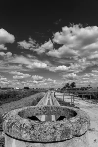 [257] El Canal Jesús Cruz Martin compressed