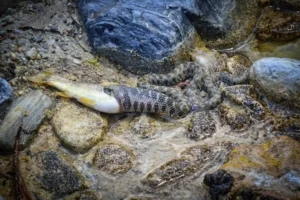 [258] Hora del almuerzo Pedro González Conejero compressed