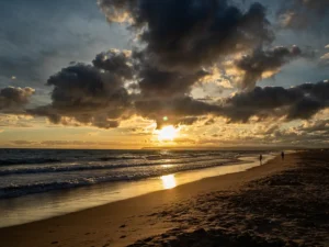 [259] Cae el día ROSEMARY ARJONA GODINO compressed