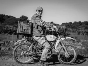 [259] Untitled Francisco Gómez Bernal