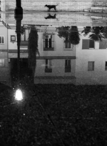 [261] Reflections Erika Lundgren compressed