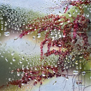 [263] El color de la lluvia Fatima Maireles Fuentes compressed