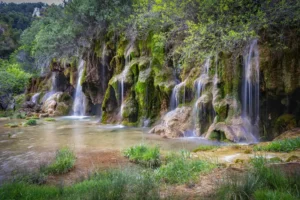 [267] Agua es Vida Juan Mancheño Trujillo compressed