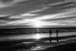 [268] Dejando el camino atras Manuela Santamaria Curtido