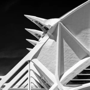 [272] Interrelaciones Carlos Suárez Alonso