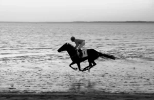 [288] LEVITANDO Juan Carlos Campos Mansinho compressed