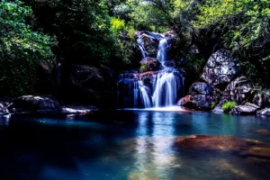 [295] Cascada Gran Capitán NARCISA CLAVERO LOZANO