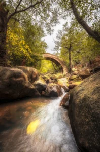 [300] El otoño Enrique Octavio Tivoli Viladoms compressed