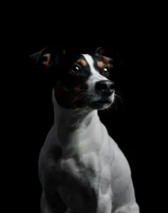 [301] Yago Beatriz Roman Moya compressed