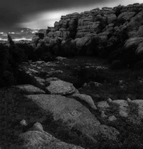 [317] Amonite Juan Miguel Pérez Vargas compressed