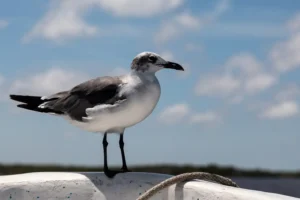 [319] Esperando María Salud Varela Alcocer