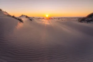[320] La Cortadura MARIA CARMEN ALDEGUER ROGET