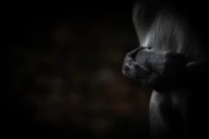 [324] Resignación Enka Tripiana Hierro compressed