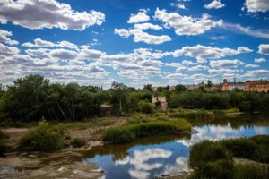 [325] Cordoba Manuela Blanco Liaño