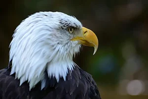 [326] Posando Miguel Nogues Herrero