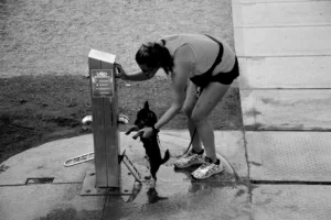 [341] Dar de beber al Diego Barroso Ramírez