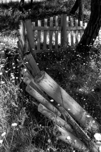 [344] Punteado en blanco Fco Javier Gómez Lozano