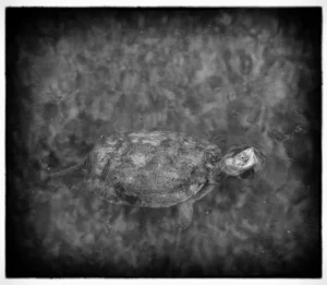 [348] CON EL AGUA AL CUELLO GLORIA SÁNCHEZ MARTÍN compressed