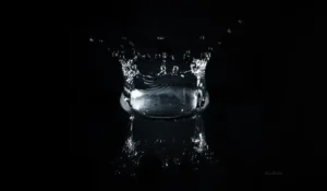 [349] Explosión sobre negro Aurelia Montiel Molina