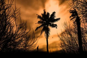 [352] Soledad Manel González Amo