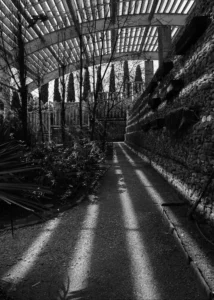 [353] Sombra y Luz La Estufa Fria Jesús Cruz Martin