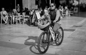 [358] PASEO CANINO RAFAEL SANTIAGO GALLEGO