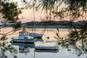 [365] Atardecer en Palmones ROSEMARY ARJONA GODINO