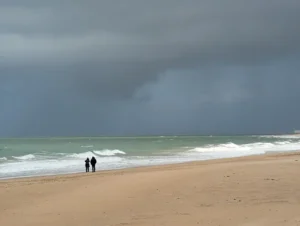 [365] Tormenta Lola Dominguez Navarro compressed