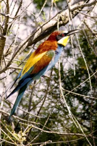 [367] Estoy acechando María de gracia Díaz Fernández compressed