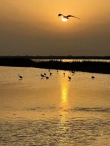 [368] AMANECER EN LAS SALINAS Manuel Peña Exposito compressed