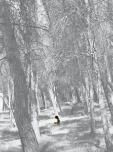 [376] K solita ria José L Zaccagnini compressed