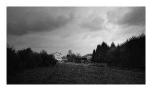 [377] Claro de Luna Jose Piñero Aido compressed