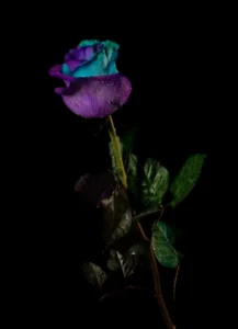 [382] Rosa Antonio Escalona Duarte compressed