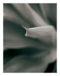 [384] PLANTA Jesús Salmerón González