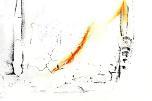 [387] Salinas Miguel Gil León