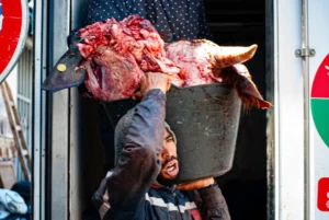 [388] Por sus malas cabezas joaquin carlos barroso cerrato compressed