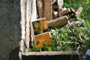 [390] El perfume Alicia Sánchez Jones compressed