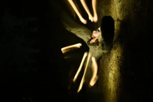 [393] Intentando escapar de mi misma carmen vazquez guerrero compressed