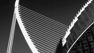 [396] Caliope Rafael Pleguezuelos González