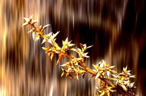 [396] Planta Jose Carvajal Lopez compressed