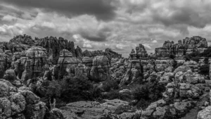 [403] Mirando la naturaleza Manuel Sanjuan Perdiguero