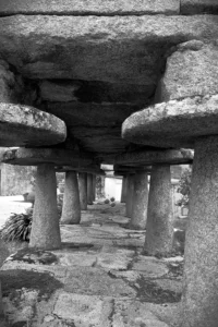 [410] CHAMPIÑONES GRANÍTICOS ANTONIO LOPEZ MARTIN