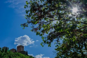 [415] Pensamientos SUSANA CARMONA MUÑOZ