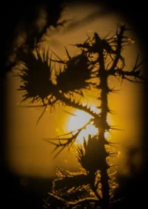 [415] Últimos momentos Patri González Buiza compressed