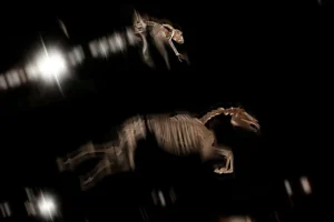 [421] Esqueletos Andrés Lozano del Real