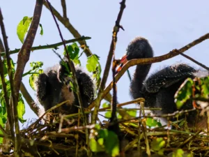 [422] Nueva generación FRANCISCO JAVIER JURADO RUBIO compressed