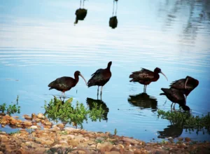 [431] Moritos Miguel González Delgado