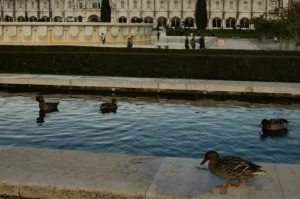 [435] Untitled Isabel Gutierrez Muñoz