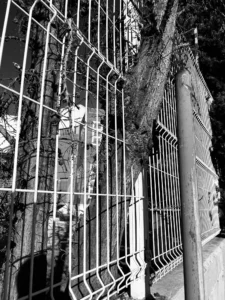 [437] Antropoceno Juan Carlos Campos Mansinho